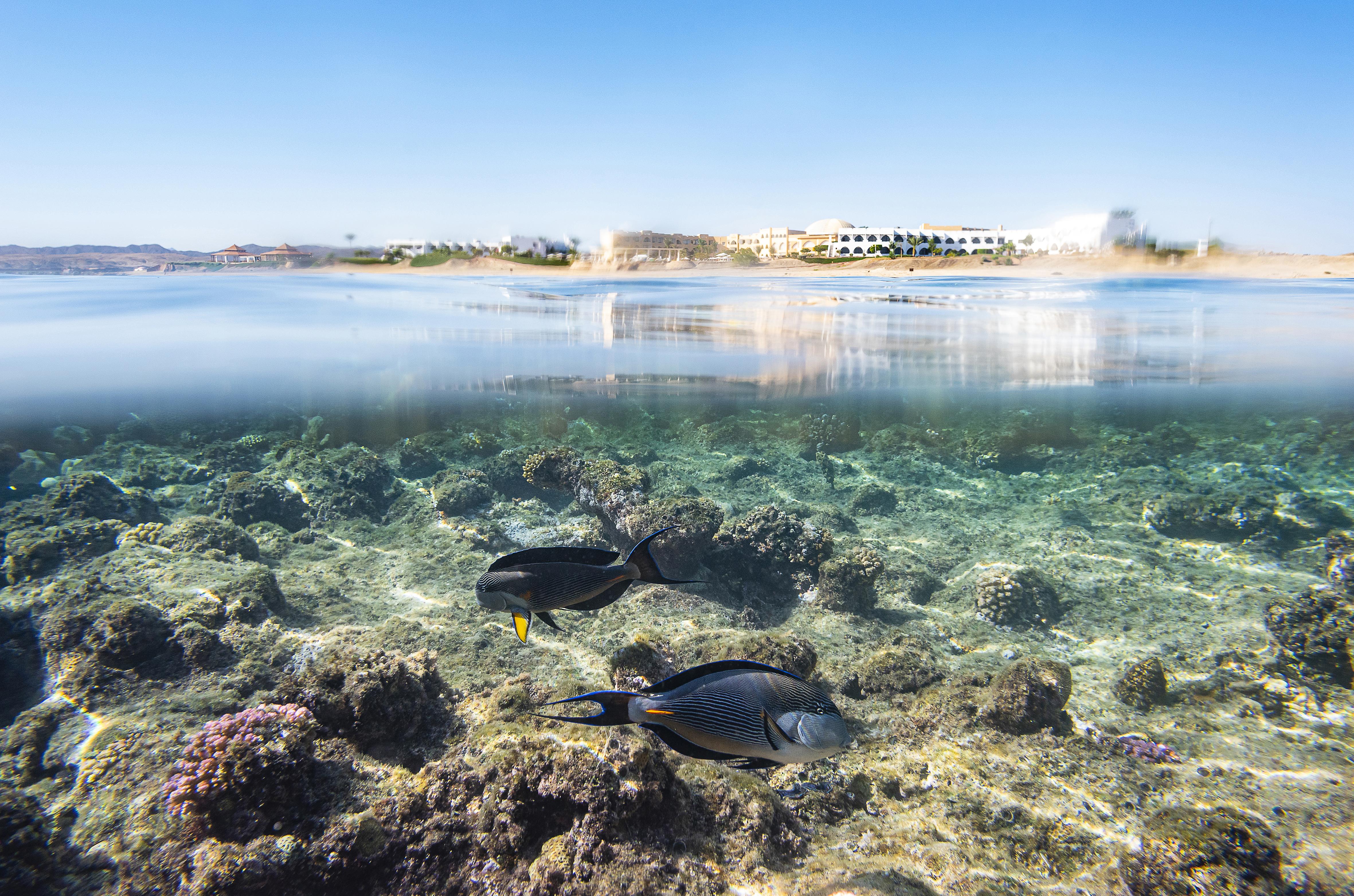 Three Corners Equinox Beach Resort Marsa Alam Esterno foto