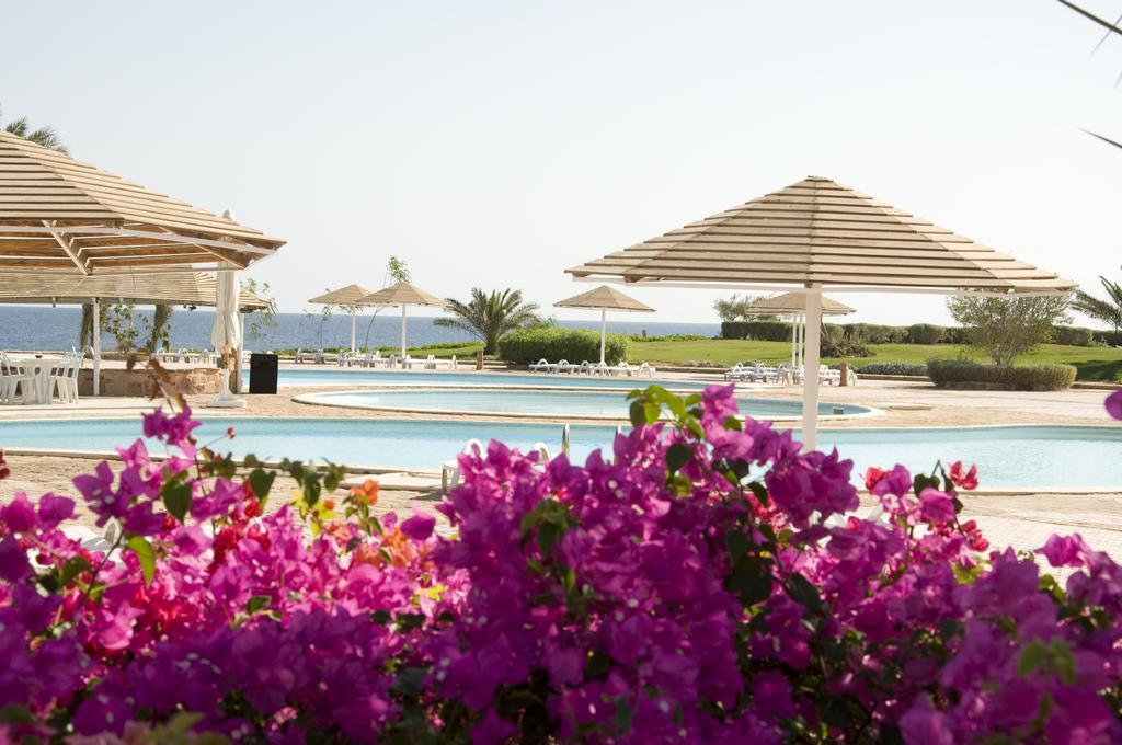 Three Corners Equinox Beach Resort Marsa Alam Esterno foto